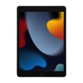 Apple iPad 10.2 (2021)